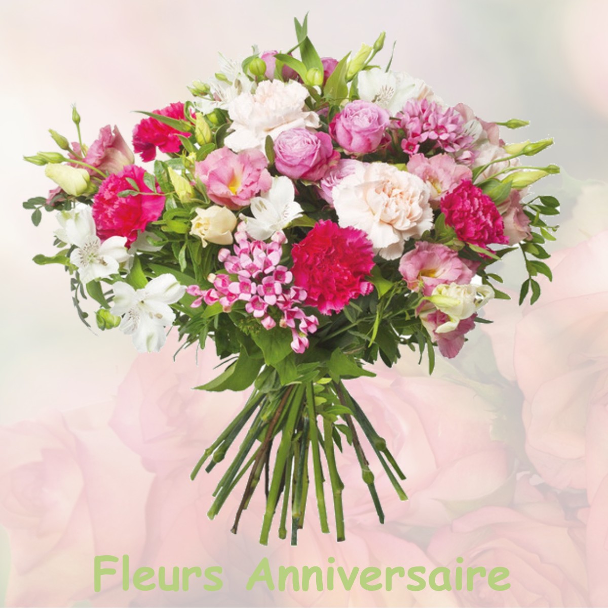 fleurs anniversaire VILLIERS-SUR-MORIN